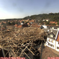 16_05-nest.jpg