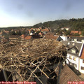 16_10-nest.jpg