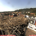 16_25-nest.jpg