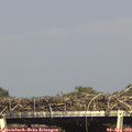 16_35-mast.jpg