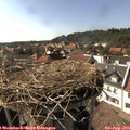 16_40-nest.jpg