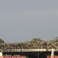 16_45-mast.jpg