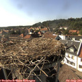 16_45-nest.jpg