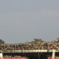 16_50-mast.jpg