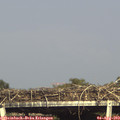 17_10-mast.jpg