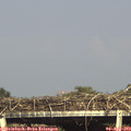17_15-mast.jpg