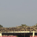 17_35-mast.jpg