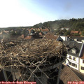 17_45-nest.jpg