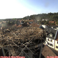18_05-nest.jpg
