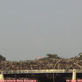 18_10-mast.jpg