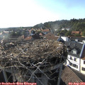 18_10-nest.jpg