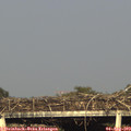 18_20-mast.jpg