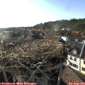 18_20-nest.jpg