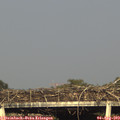 18_25-mast.jpg