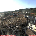 18_25-nest.jpg