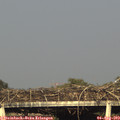 18_30-mast.jpg