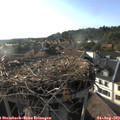 18_30-nest.jpg