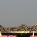 18_35-mast.jpg