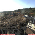 18_35-nest.jpg
