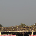 18_40-mast.jpg