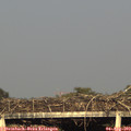 18_45-mast.jpg