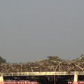 18_50-mast.jpg