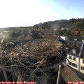 18_50-nest.jpg