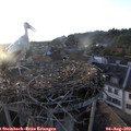 19_50-nest.jpg