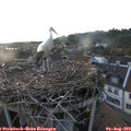 20_00-nest.jpg
