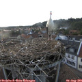 20_15-nest.jpg