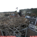 20_25-nest.jpg