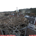 20_30-nest.jpg