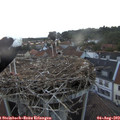 20_40-nest.jpg