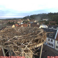 06_10-nest.jpg