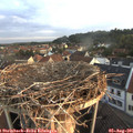 06_20-nest.jpg