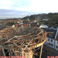 06_25-nest.jpg