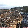 06_30-nest.jpg