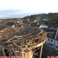 06_35-nest.jpg