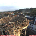 06_40-nest.jpg