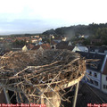 06_45-nest.jpg