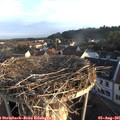 06_50-nest.jpg