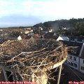 06_55-nest.jpg
