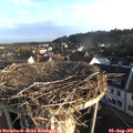 07_00-nest.jpg