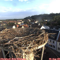 07_05-nest.jpg