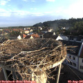 07_10-nest.jpg