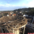 07_15-nest.jpg