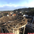 07_20-nest.jpg