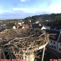 07_25-nest.jpg