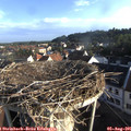 07_30-nest.jpg