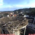 07_35-nest.jpg